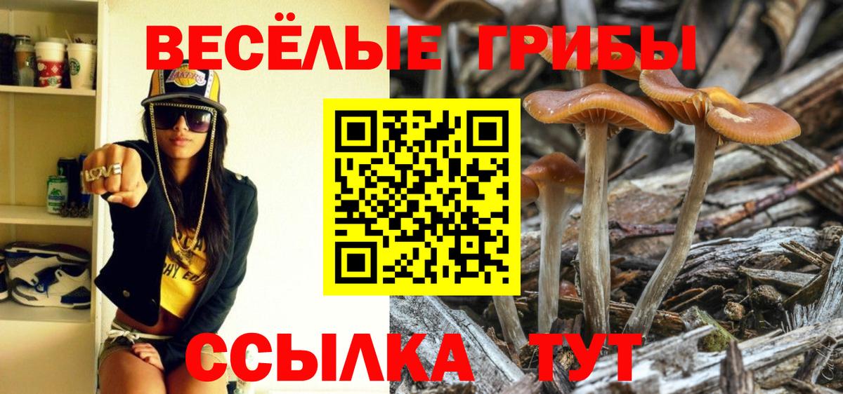 Муравленко  Галлюциногенные грибы Magic Shrooms  где найти   Вход с VPN  Псилоцибиновые грибы Magic Shrooms 