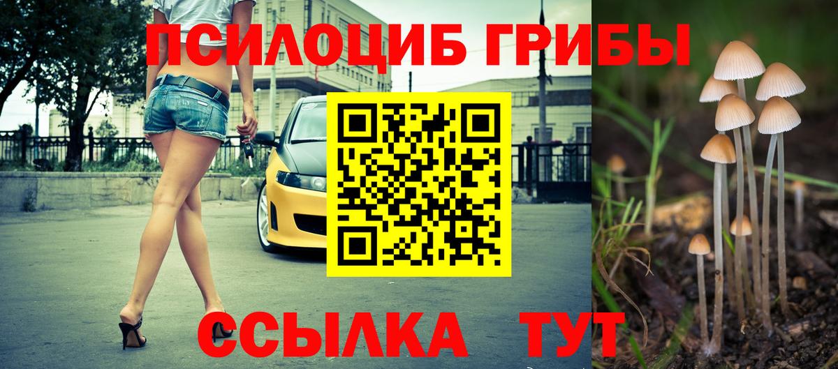Псилоцибиновые грибы мицелий Муравленко